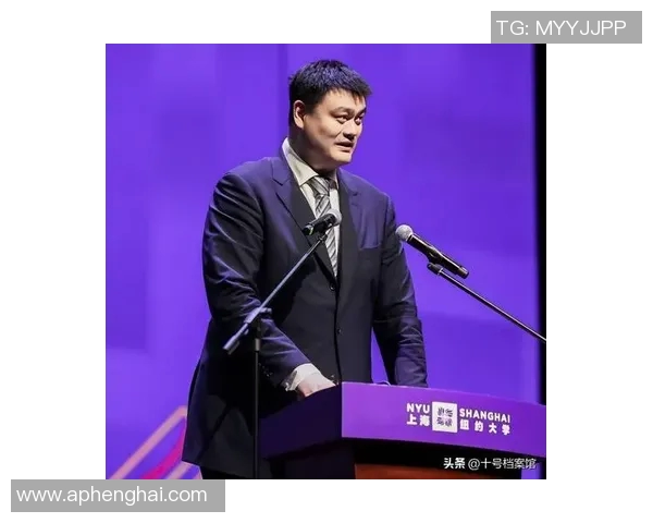 姚明职业生涯数据分析与转型之路探讨