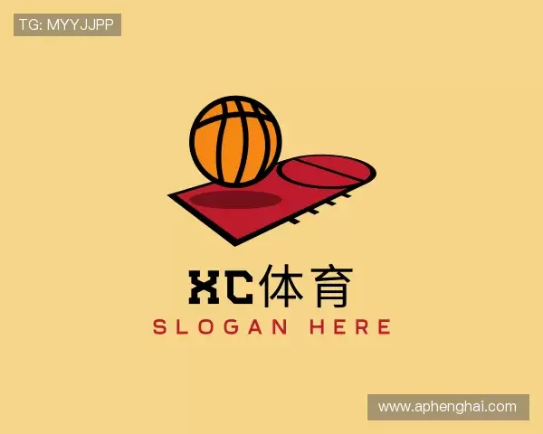 介绍XC体育